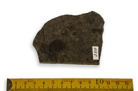 F 00350
<br/>
<br/>
<em></em>